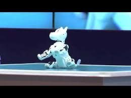 كلب آلي يقدم أملاً لمساعدة من يعانون العته والتوحد