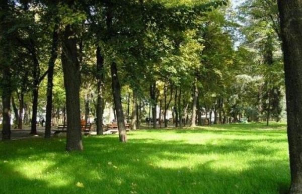 الطبيعة الخضراء لها تأثير السحر للتخلص من التوتر والاجهاد