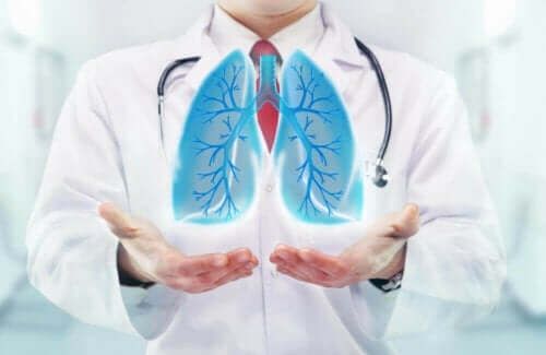 نصائح طبية للحفاظ على الجهاز التنفسي في الخريف