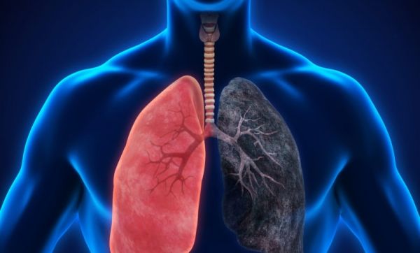 خبراء: تناول الفاكهة والخضراوات الطازجة يقيك من مرض الانسداد الرئوي