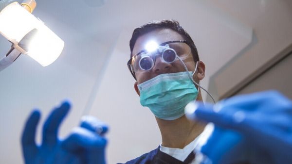 باحثون يتجهون نحو زراعة أعضاء حيوانية للإنسان