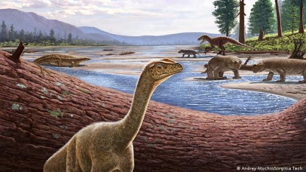 عمره 230 مليون عام.. اكتشاف أقدم ديناصور في إفريقيا