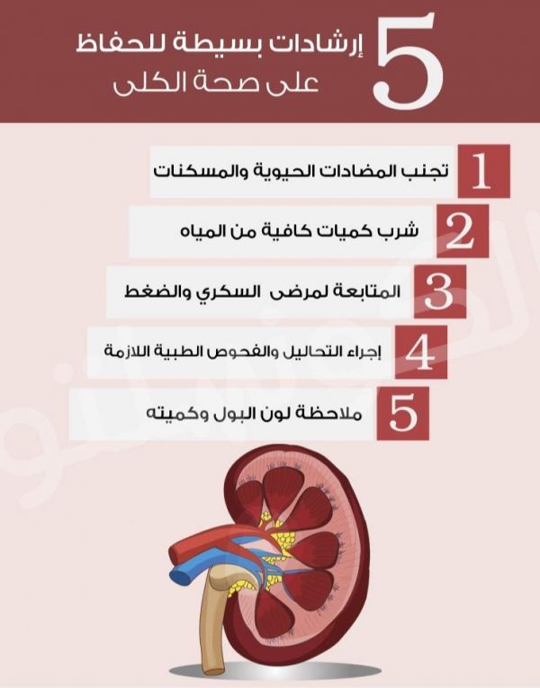 نصائح ذهبية.. كيفية الحفاظ على كلى صحية