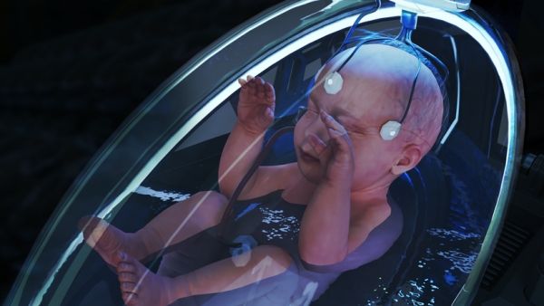 "مصنع الأجنة".. فيديو لصانع المحتوى اليمني هاشم الغيلي يناقش الفكرة الصادمة