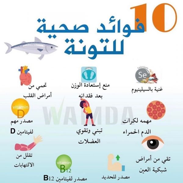 التونة المعلبة : فوائدها وأضرارها