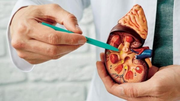 خمسة أسباب تعزز مخاطر الإصابة بحصوات الكلى.. تعرف عليها