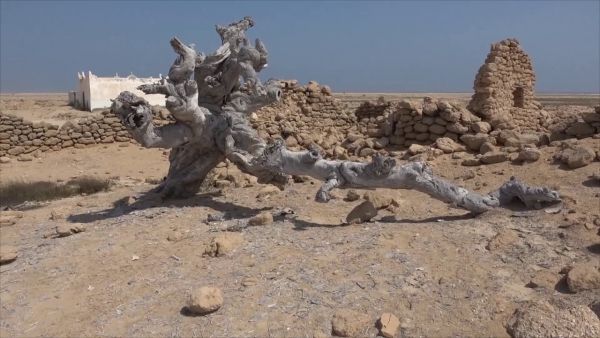 مقبرة ليبن.. شاهد على تاريخ مدينة قشن العريق الممتد إلى عصور ما قبل الإسلام