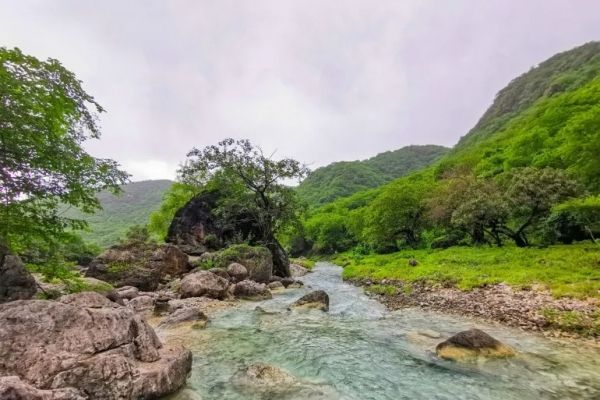 مصور يوثّق موسم خريف ظفار في سلطنة عُمان وخضرته التي لا تُصدّق