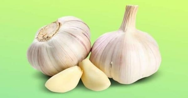 الثوم للجمال: علاج فعّال للبشرة وتكثيف الشعر