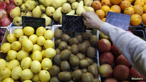 دراسة: تناول ثمرتين من فاكهة الكيوي يوميا "يغنيك" عن مكملات فيتامين سي