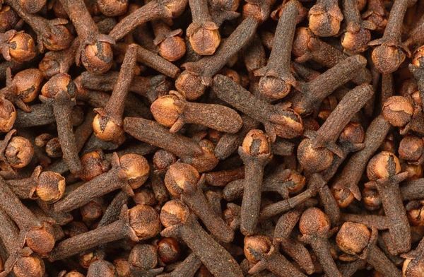 يحفز المناعة.. فوائد مذهلة لتناول القرنفل على الريق