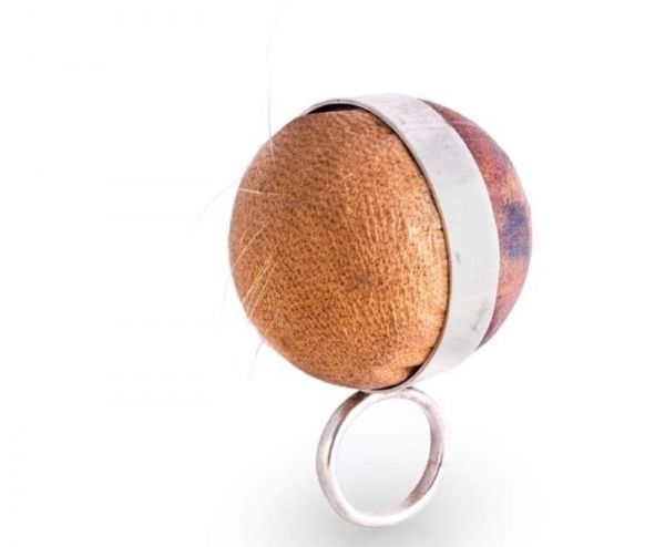 سلطنة عمان تحصد إحدى جوائز معرض "انفلو" في المجر