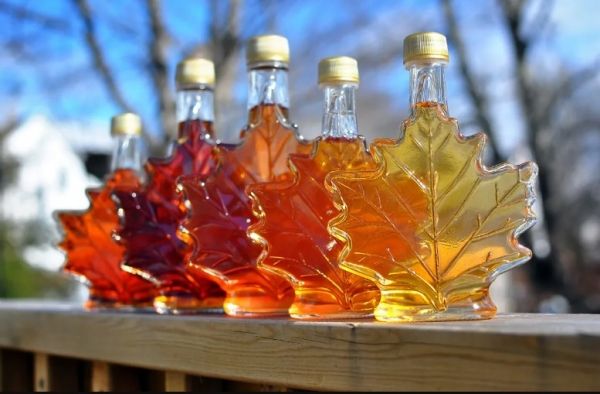 دراسة: شراب القيقب يقلل خطر الإصابة بالأمراض القلبية