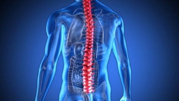 تجربة سويسرية لإعادة قدرة المشي لمصابي النخاع الشوكي