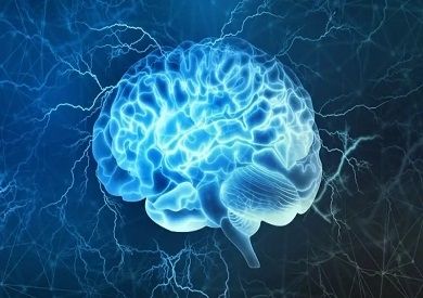 نظرية جديدة لتفسير "آلية اختزان الذكريات" في العقل البشري