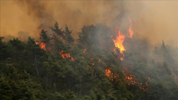 سوريا: احتراق أكثر من 30 هكتارا بريف اللاذقية دون أضرار سكنية