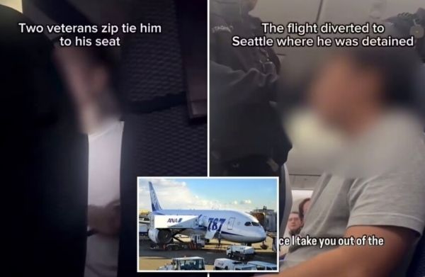 لحظات من الرعب.. راكب مجنون يحاول قتل ركاب طائرة يابانية متجهة إلى أمريكا!