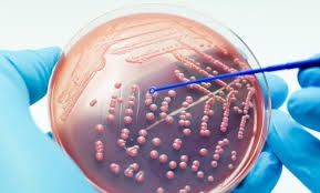 علماء روس يبتكرون مادة تصدر أشعة قاتلة للبكتيريا