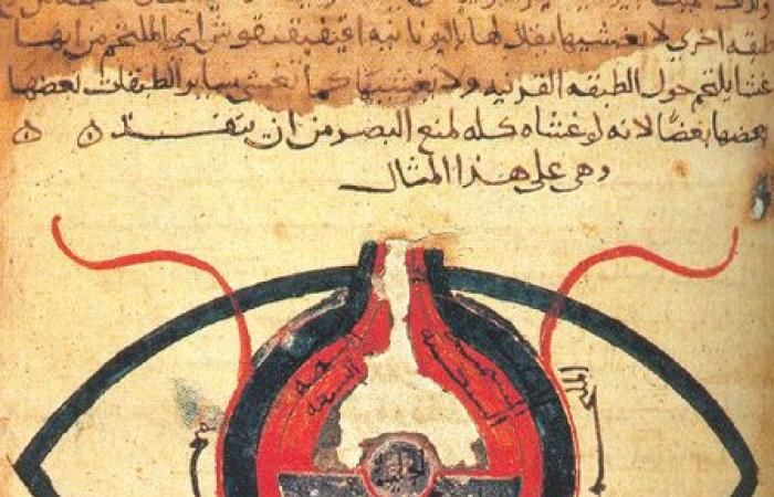 «شمس الله تسطع على الغرب».. كيف طوّر المسلمون الطب ومنحوه للعالم بالمجان؟