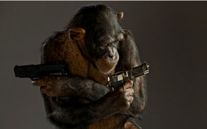 من أجل المتعة أو احتلال الأرض.. حيوانات تقتل لأسباب لا تتعلق بالبقاء!