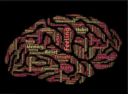 من اكتشاف النار إلى غزو الفضاء.. رحلة تطور الذكاء البشري عبر ملايين السنين