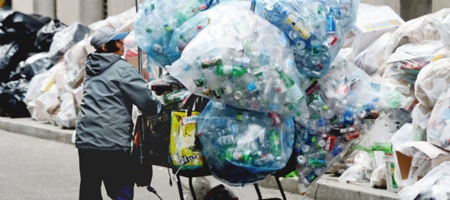 ثرية وحاصلة على ماجستير إدارة أعمال.. لكنها تقضي يومها في جمع النفايات!