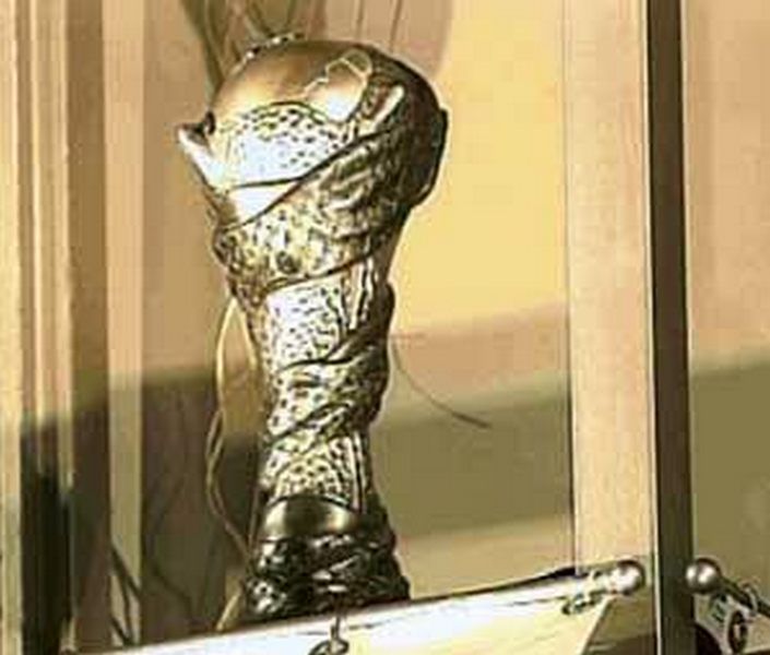 كأس الخليج .. تاريخ عريق وذكريات لا تنسى