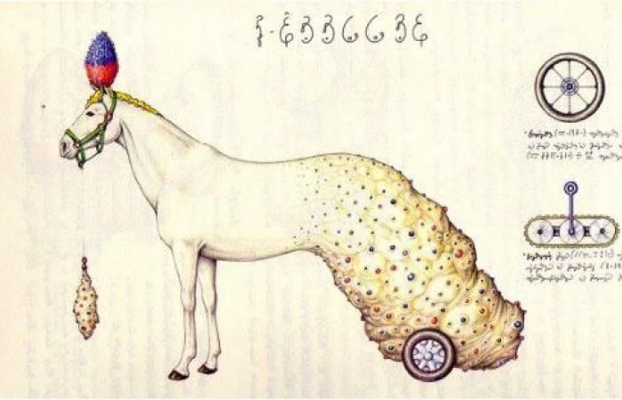 ربما تحوي تعويذة أو خريطة كنز.. 7 كتب ومخطوطات غامضة من التاريخ