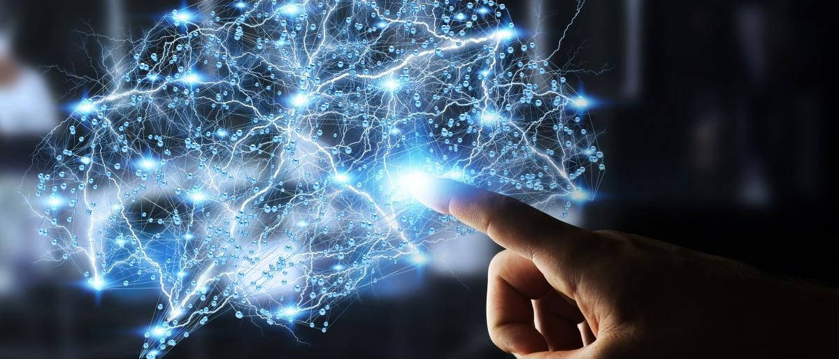 اكتشاف خلية "فريدة" في المخ تميّزنا عن الكائنات