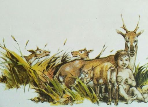 «حي بن يقظان».. تعرف إلى أول رواية عربية ألهمت أدباء الغرب