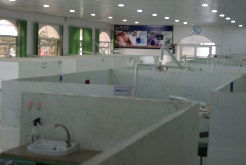 قسم طب الاسنان