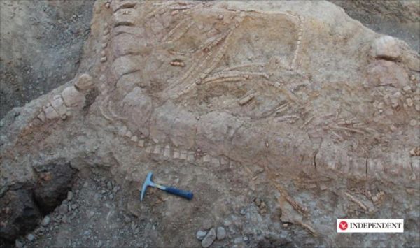 اكتشاف بقايا وحش عاش بالهند قبل 150 مليون سنة