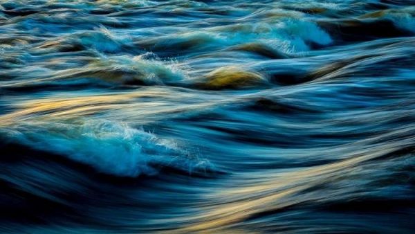 غواص يصور "وحشا" بحريا ضخما للمرة الأولى! (فيديو)