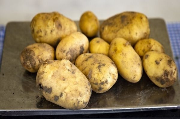 تعرف على الفوائد الغذائية للبطاطا  